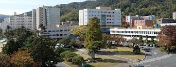 Sunchon National University