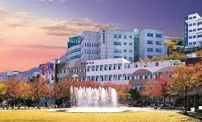 Daegu University