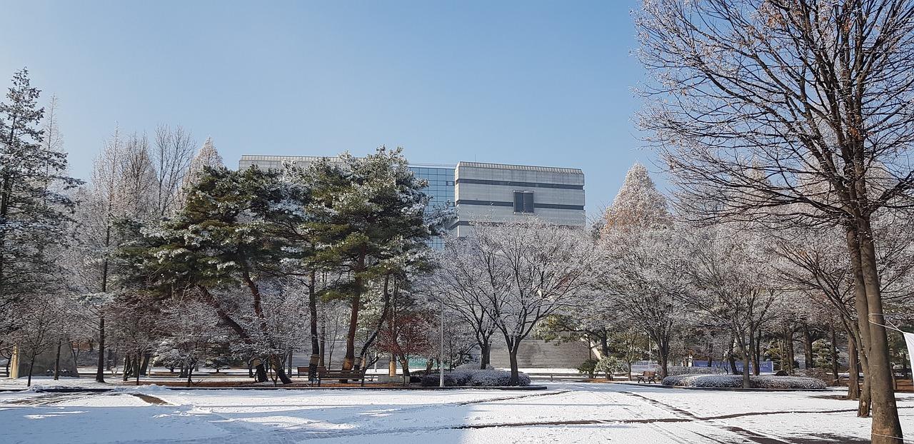 The University of Suwon